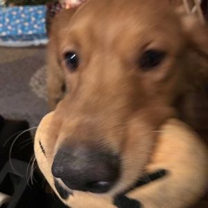 Meet your Posher, Zac